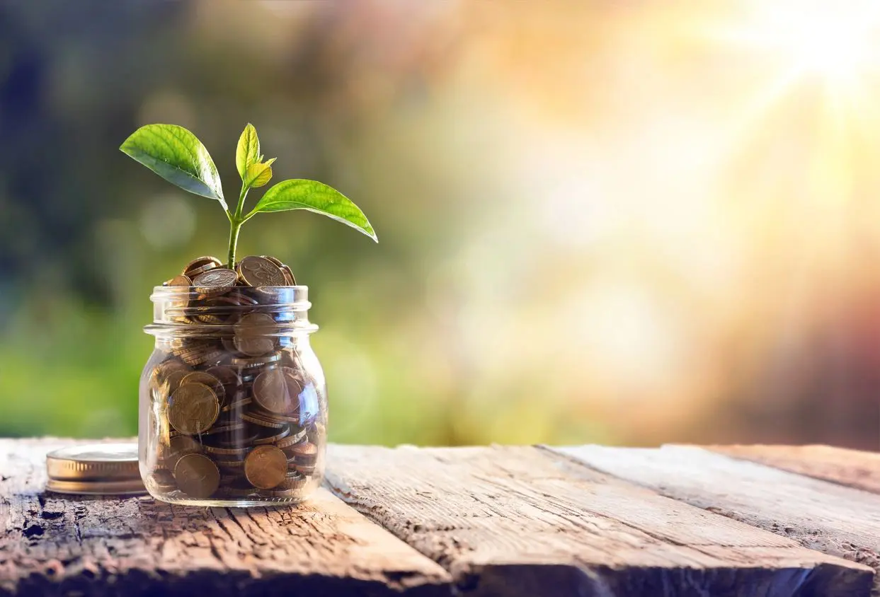 A jar with coins and a plant in it.